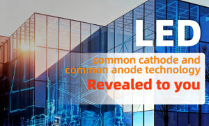 Zhiyu Common Cathode Display